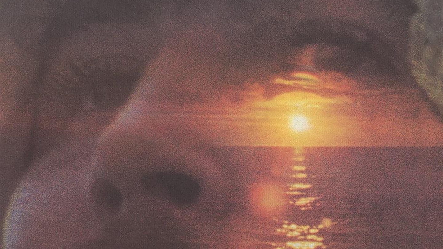 David Crosby If I Could Only Remember My Name crop